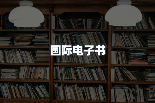 国际电子书